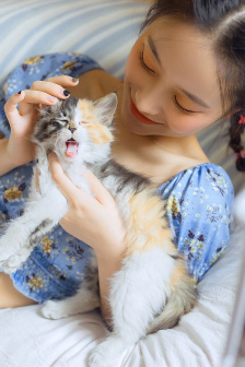 哈尔的移动城堡 电影